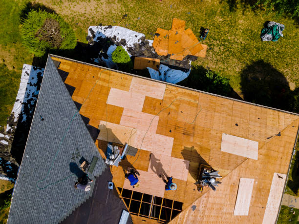 Best Metal Roofing Contractor  in Elmwood, LA